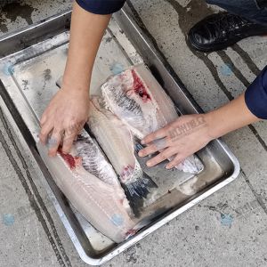 《全新升級》開(kāi)片殺魚(yú)機去魚(yú)骨機