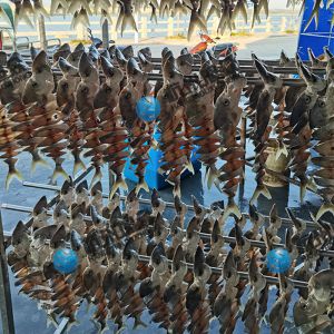 客戶(hù)兩臺雙高效烘干房，烘金昌魚(yú)安裝完成！