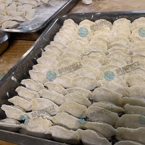 仿手工包餃子機大小均勻老客戶(hù)反饋！