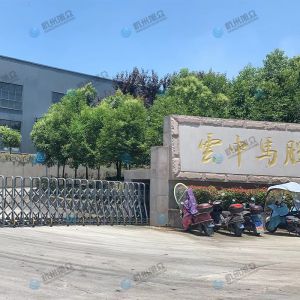 松陽(yáng)的客戶(hù)，調試30型包子機完成！