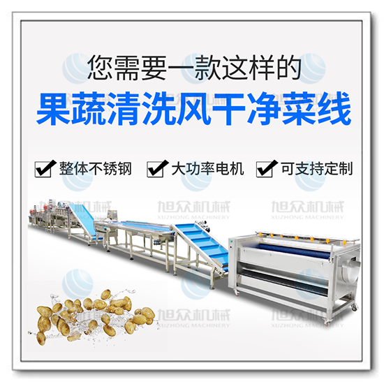 果蔬氣泡清洗機風(fēng)干流水線(xiàn)