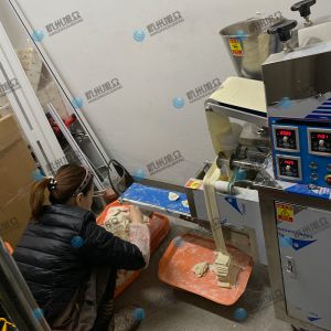 仿手工包餃子機省時(shí)省力開(kāi)店神器！